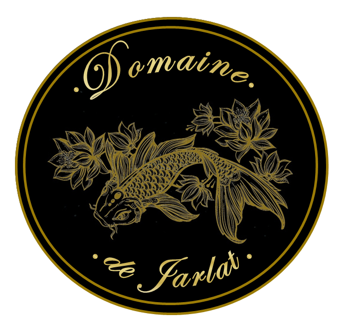 La passion avant tout